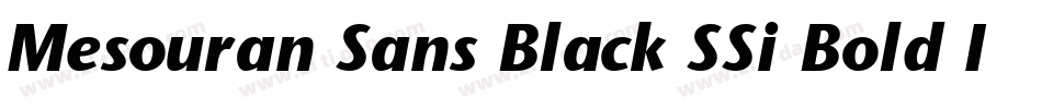 Mesouran Sans Black SSi Bold Italic字体转换
